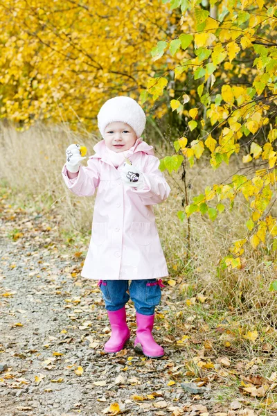 Kislány az őszi természet — Stock Fotó