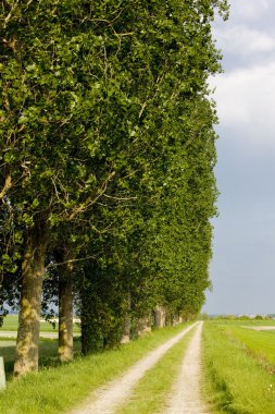 Alley, normandy, Fransa