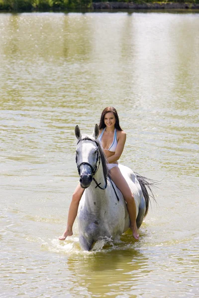 馬に乗って水の中を — ストック写真