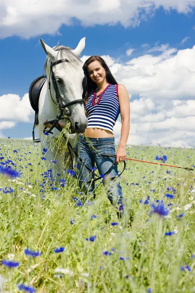 Paardensport met een paard op weide — Stockfoto