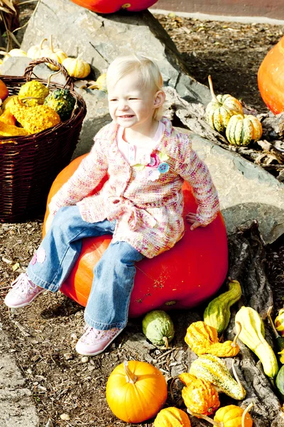 Little girl with pumpkins — Stock Photo, Image