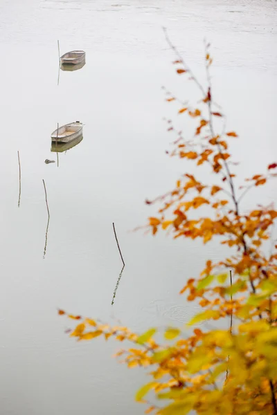 Autumnal pond, Czech Republic — Stock Photo, Image