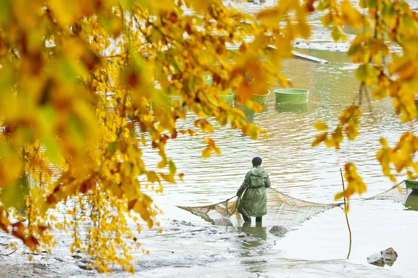 stock image Harvesting pond, Czech Republic