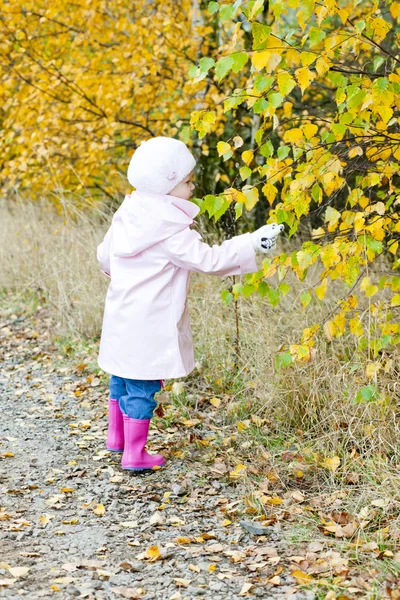 Sonbahar doğada küçük kız — Stok fotoğraf