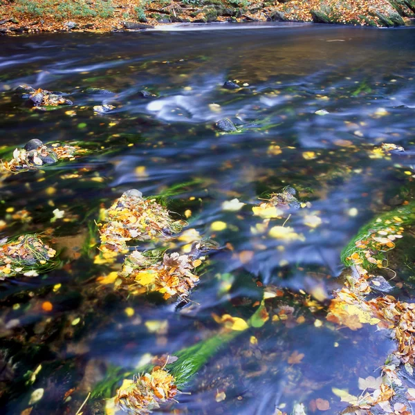 The Metuje river in autumn — Stock Photo, Image