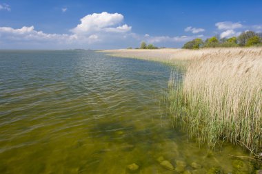 deniz manzarası, friesland, Hollanda