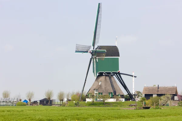 Wiatrak w pobliżu vlist, Holandia — Zdjęcie stockowe