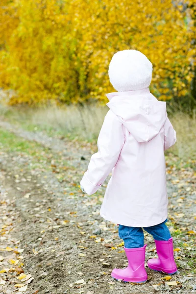 Little girl in autumnal nature — Stock Photo, Image