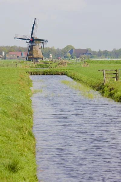 Molino de viento, t 'Zwaantje, Frisia, Países Bajos — Foto de Stock