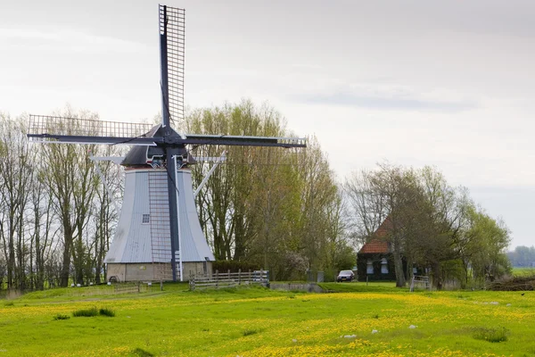 Molino de viento cerca de Aldtsjerk, Frisia, Países Bajos — Foto de Stock