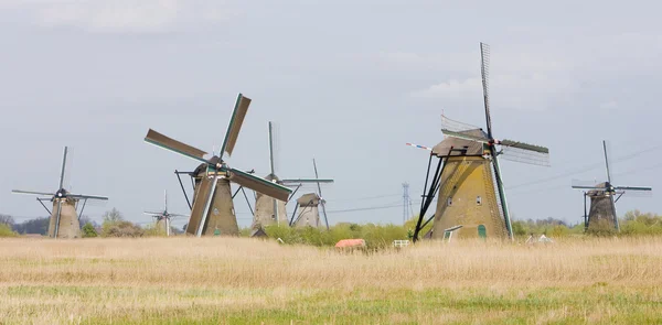 Moinhos de vento, Kinderdijk, Países Baixos — Fotografia de Stock