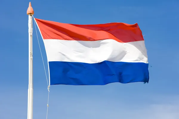 De vlag van Nederland — Stockfoto
