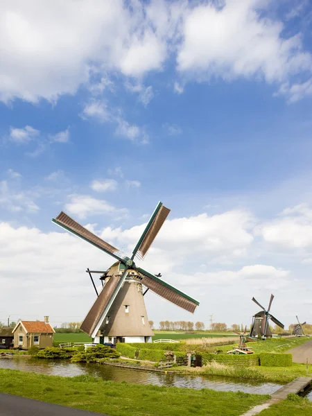 Větrné mlýny, zevenhuizen, Nizozemsko — Stock fotografie