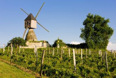 Windmill and vineyard, France clipart