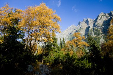 yüksek tatras, Slovakya