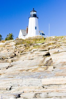 Lighthouse Pemaquid Point Light, Maine, USA clipart