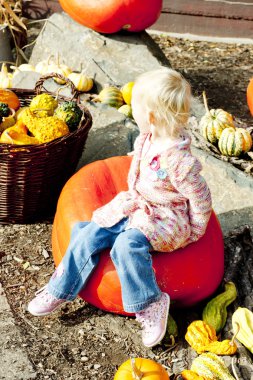 Little girl with pumpkins clipart