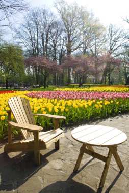 Keukenhof Gardens clipart