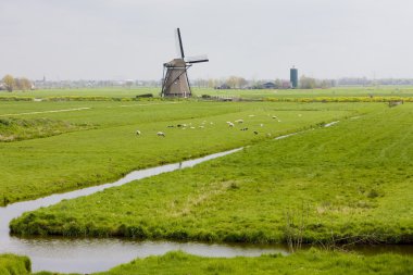 Windmill near Steefkerk, Netherlands clipart