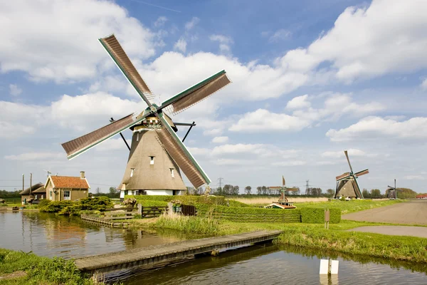 Moulins à vent, Zevenhuizen, Pays-Bas — Photo