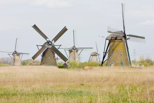 stock image Windmills, Kinderdijk, Netherlands