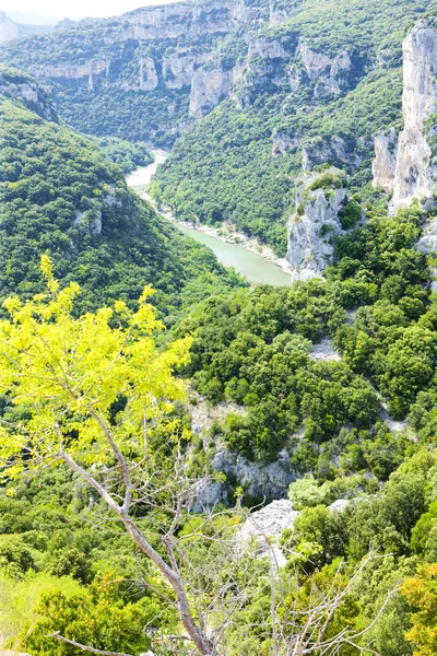 Gorge de l 'Ardeche, Rhone-Alpes, Frankrijk — Stockfoto