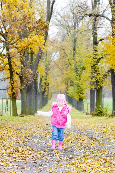Κοριτσάκι σε φθινοπωρινό δρομάκι — Φωτογραφία Αρχείου