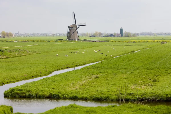 Windmühle bei Steefkerk, Niederlande — Stockfoto