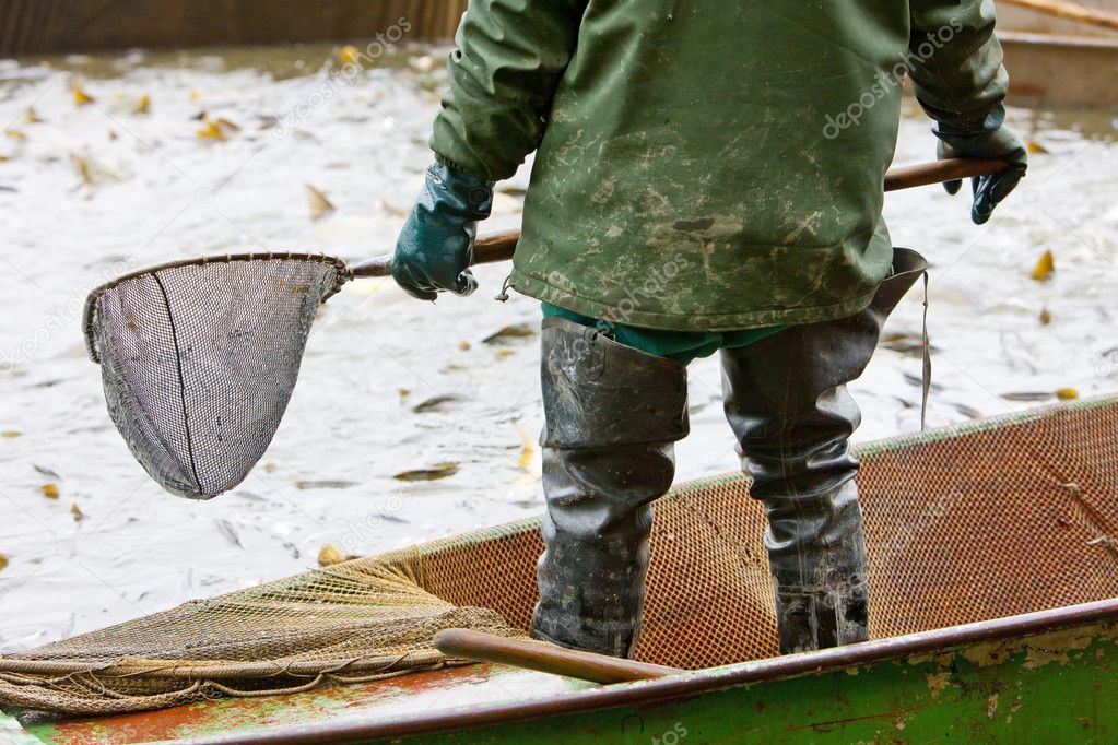 Harvesting pond