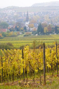 Oppenheim, rheingau, Almanya