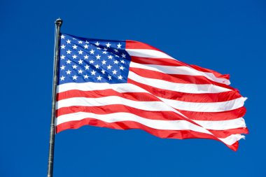 The USA flag clipart