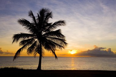 Sunset over Caribbean Sea, Barbados clipart