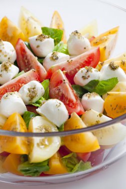 Tomato salad with mozzarella cheese clipart