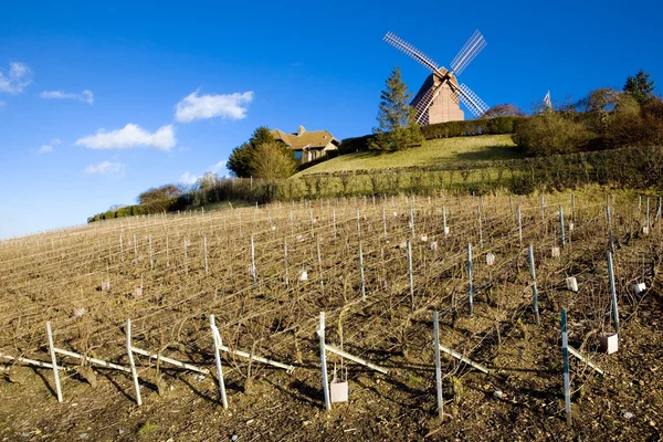 Wiatrak i winnicy w pobliżu regionu verzenay, szampan — Zdjęcie stockowe