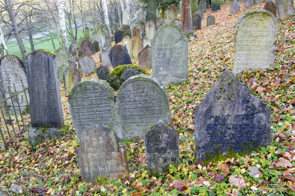 Zsidó temető, a trebic, Cseh Köztársaság — Stock Fotó