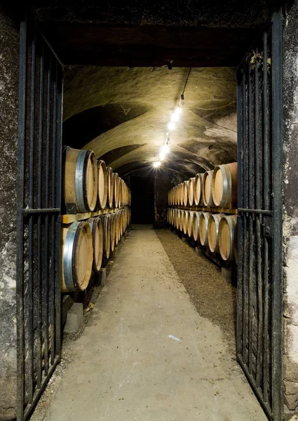 Vinný sklep v Burgundsku — Stock fotografie