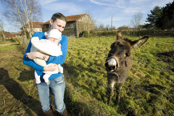 Mãe com seu filho olhando para burro, Champagne, França — Fotografia de Stock