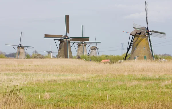 Windmolens, kinderdijk, Nederland — Stockfoto