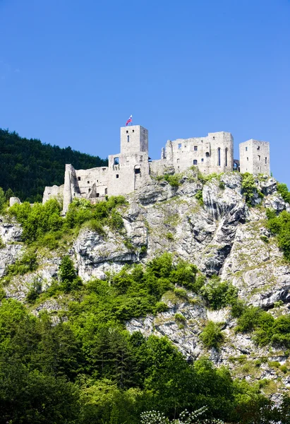 Ruiny zamek strecno — Zdjęcie stockowe