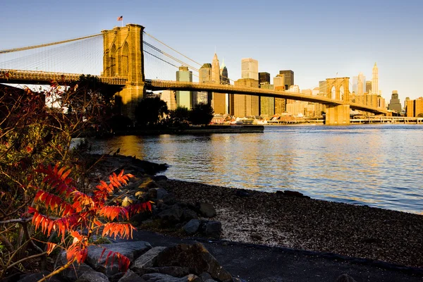 Manhattan con Brooklyn Bridge — Foto de Stock