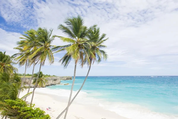 Barbados, Caribe — Foto de Stock