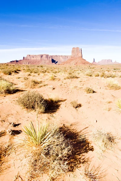 Rukavice, monument valley národní park, utah, arizona, usa — Stock fotografie