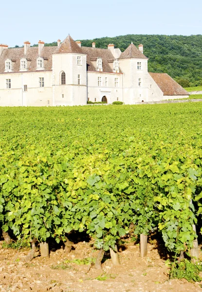 Clos blanc de vougeot Kalesi, Burgonya, Fransa — Stok fotoğraf