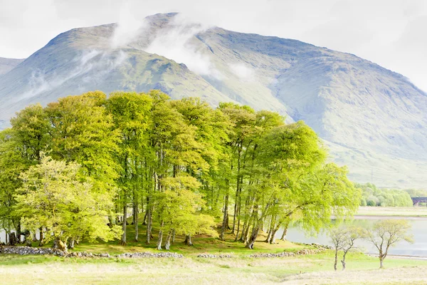 Loch awe, highlands, Schotland — Stockfoto