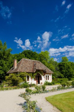 Garden of Chateau du Moulin clipart