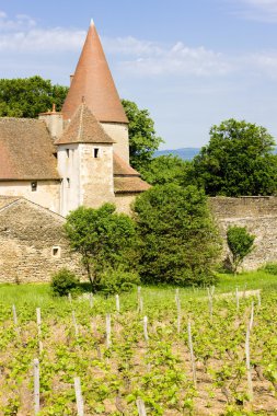 Chateau de asiller, Burgonya, Fransa