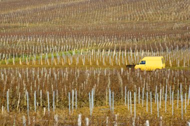 pouilly-fuisse Vineyards