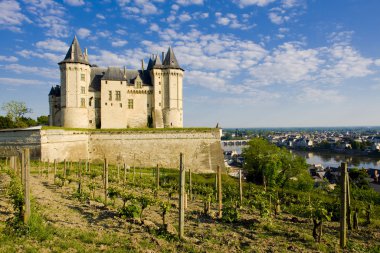 Chateau de Saumur clipart