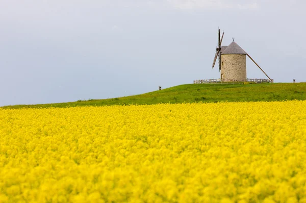 Windmill, Moidrey, Brittany, Franciaország — Stock Fotó