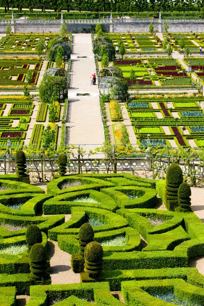 De tuin van het kasteel van Villandry — Stockfoto